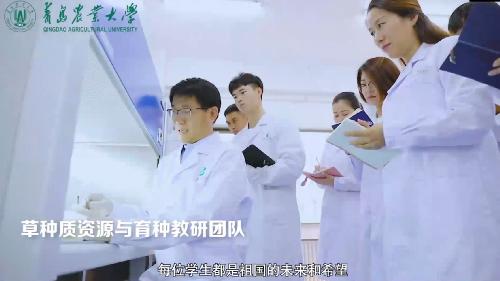 欢迎报考betway必威体育西汉姆联