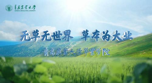 “别再说草业是'种草'了｜betway必威体育西汉姆联招生视频首发”